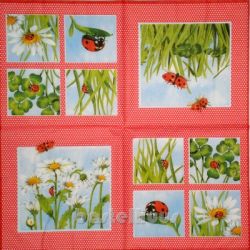 Ladybird red 1/1