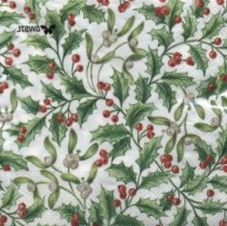 Ilex allover