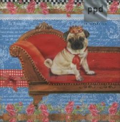 King of pugs