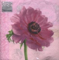 Anemone pink