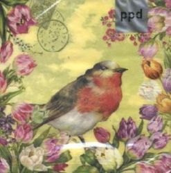 Vintage robin