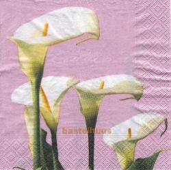 Calla lily rose