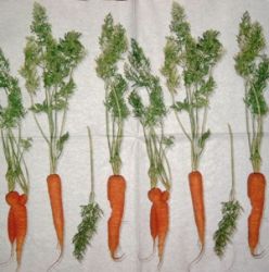 Carrot 1/1