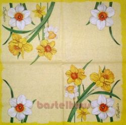 Daffodils gelb 1/2