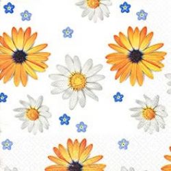 Daisy symphony white