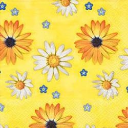 Daisy symphony yellow