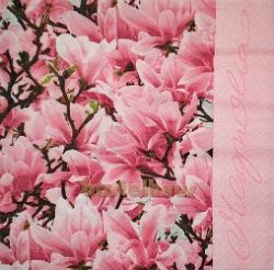 Magnolia pink