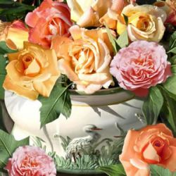 Romantic roses