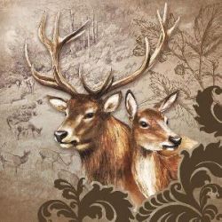 Deer couple brown