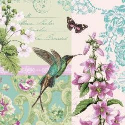Belle Colibri