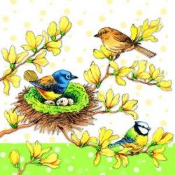 Birds on Forsythia green