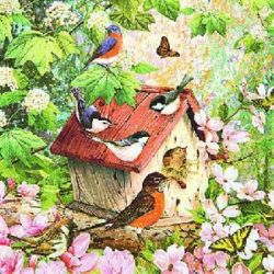 Busy birdhouse