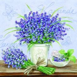 Lavender scene lilac