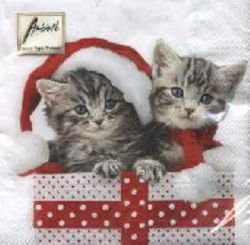 Christmas kitten white