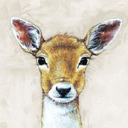 Young deer