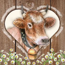 Cow brown