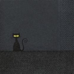 Gatto nero