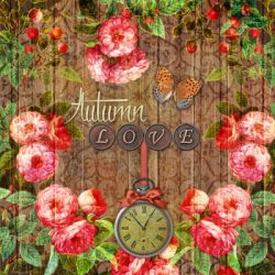 Autumn love with roses