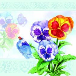 Aquarell Pansy