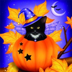 Halloween cat