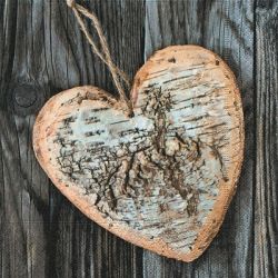 Wooden heart P+D