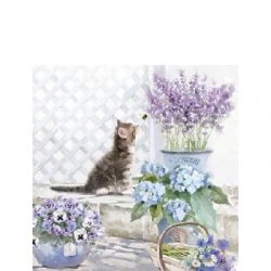 Cocktail - Kitten in flowers