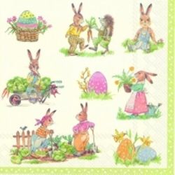 IHR Stories of bunnies cream