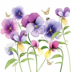 Violet pansies
