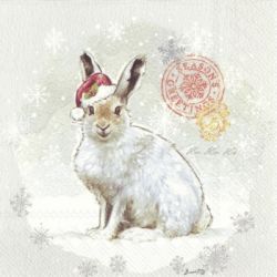 IHR Woodland rabbit