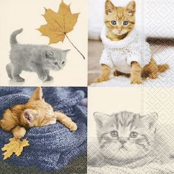 Autumn cats