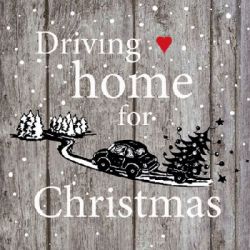 Driving home for Christmas