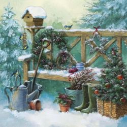 Winter gardening