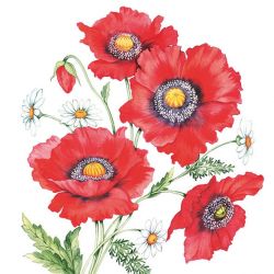 Poppy scene