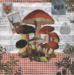 Vintage mushrooms