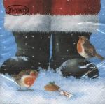 Two robins at Santas feet