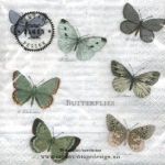 Butterflies SVD