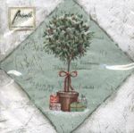 Ilex tree