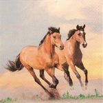 Wild horses brown