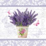 Flowering lavender