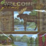 Wild vacation - Welcome friends