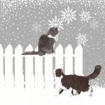 Snowfall cats