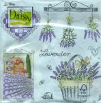 Lavender garden impressions