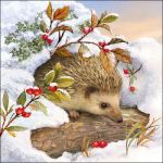 Hedgehog in snow