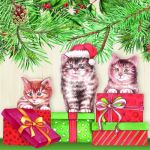 Three Christmas cats