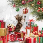 Kitten and baubles