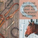 Das Glck der Erde