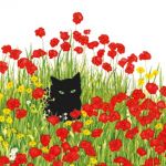 Black cat poppies